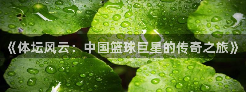 77体育：《体坛风云：中国篮球巨星的传奇之旅》